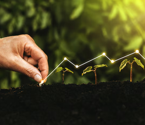 Growth Capital & Expansion