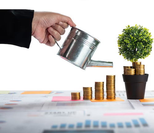 Growth Capital & Expansion